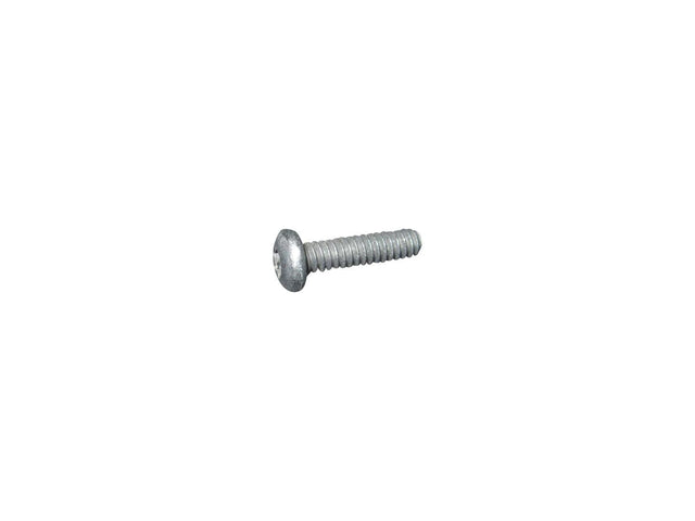 8036088 Screw Pan Head