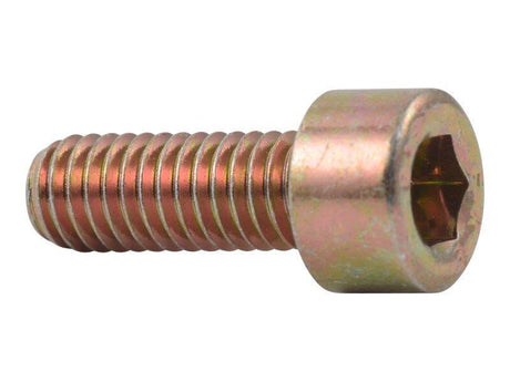 83191035 M6X1 Socket Cap 16 Long Full