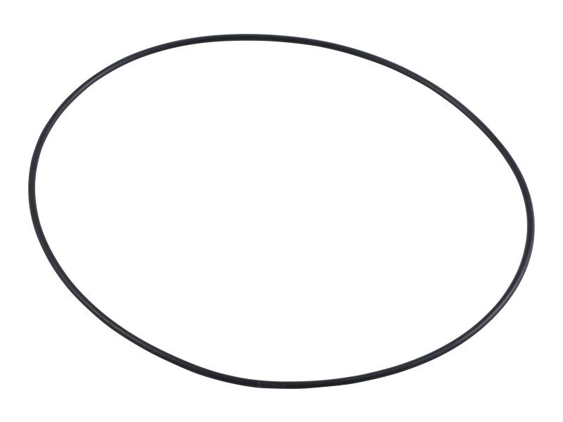 028498 O-Ring | Carraro
