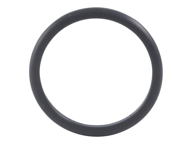 CM4995185 D Ring Seal