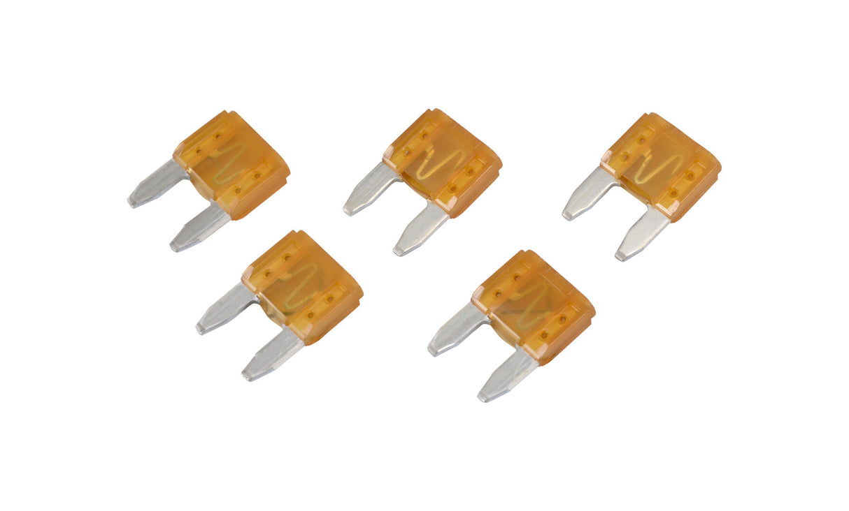 062897-002 Cw-Fuse 5Amp 5Pk | Crown