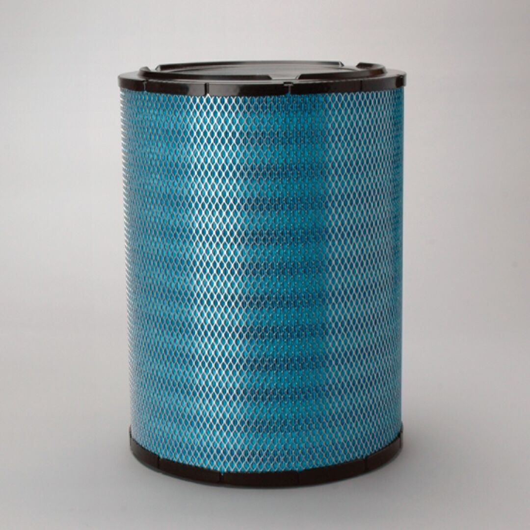 DBA5129 D/S, Air Filter, Primary Radial | Donaldson
