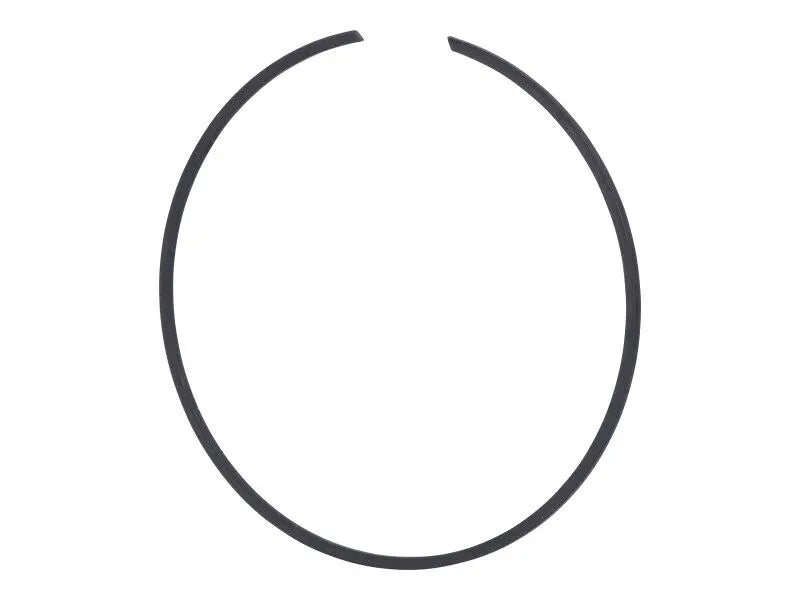 002.064910 Ring | Dana