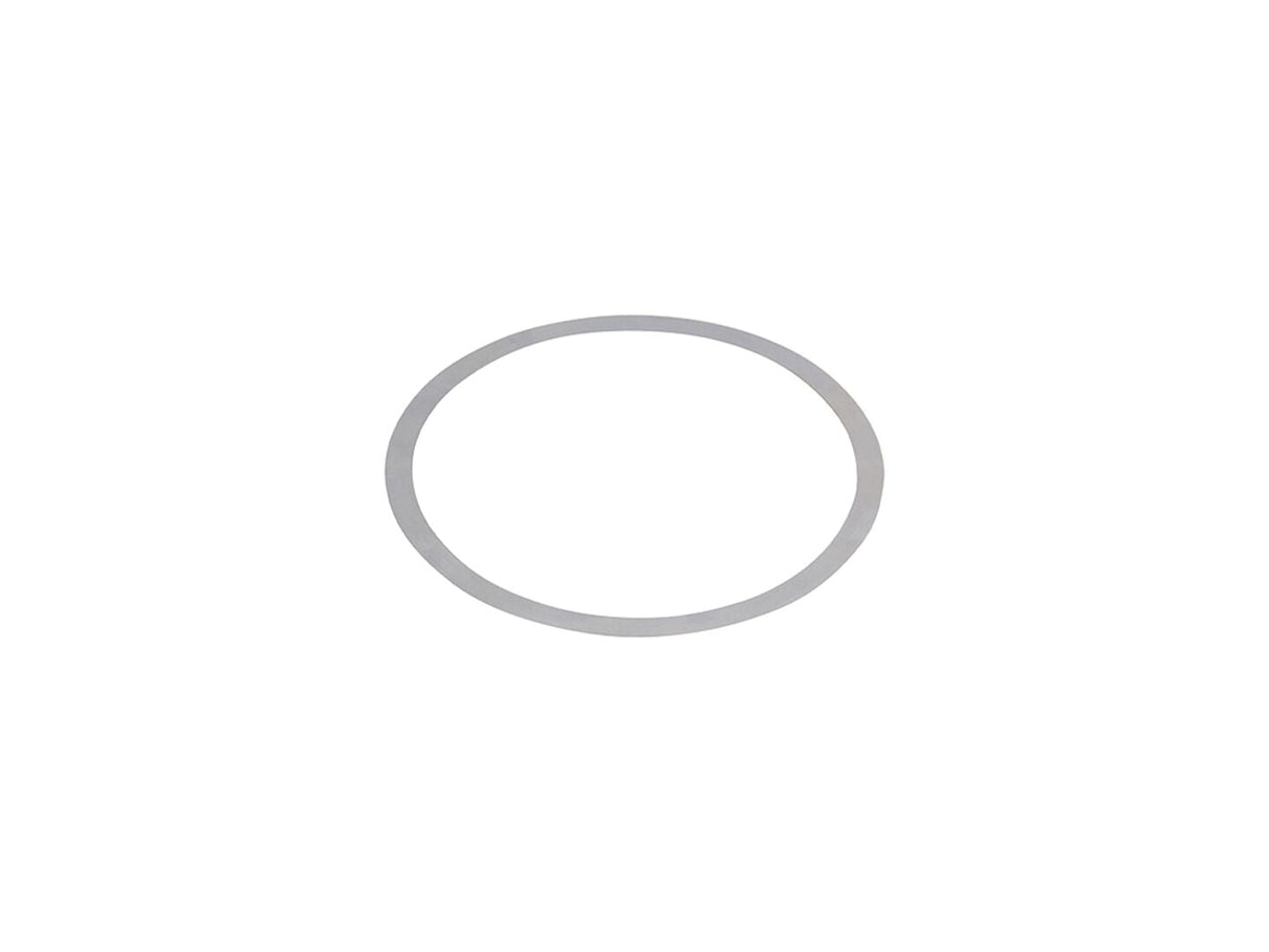 30797-1 Shim, Pinion Position | Dana