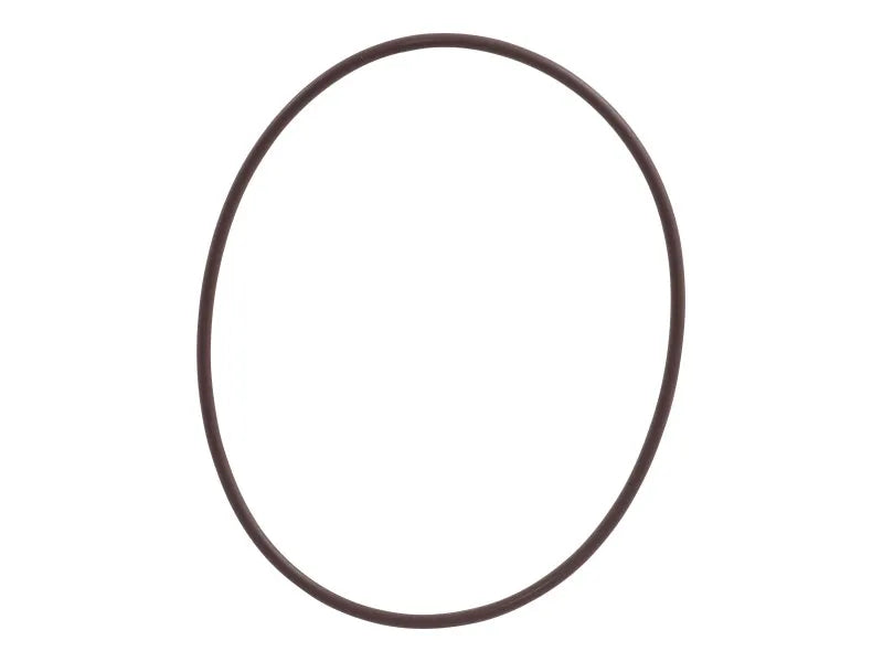 4206133 O-Ring | Dana