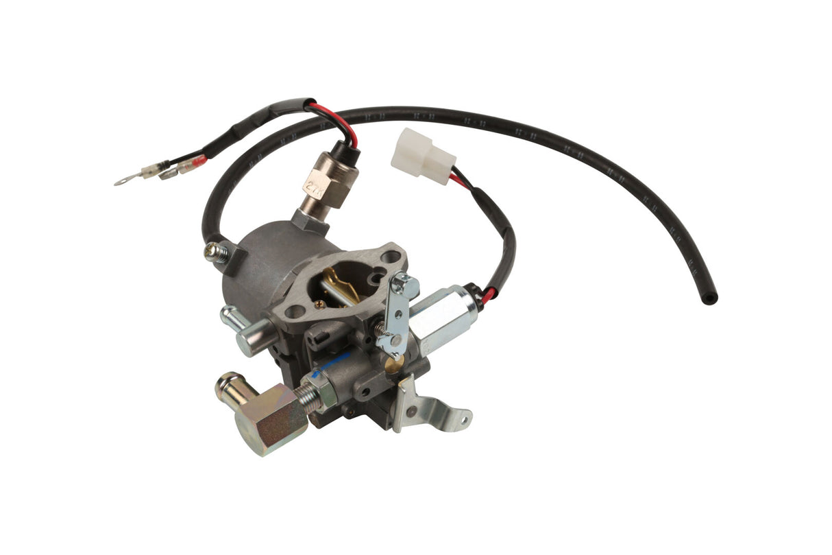 EG261-4401-2 Carburator Assembly 