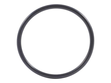 102951 O Ring 