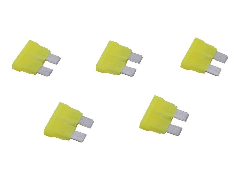 L70246 Fuse/20Amp 5Pack | Gehl