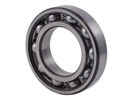 L99755 Dp Groove B Bearing