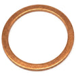 Part Number 7-229-525GT Seal Washer | Genuine Genie