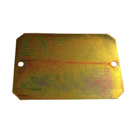 Part Number 153D157220 Cover Plate fits Haulotte