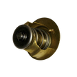 Part Number 2324003950 Water Temperature Thermostat fits Haulotte