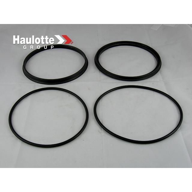 2399002310 Seal | Genuine Haulotte