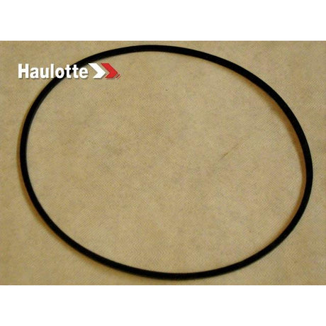 Part Number 2420104630 Ring fits Haulotte