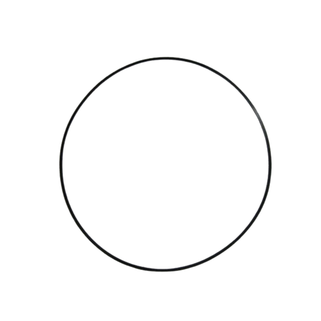 Part Number 2420211740 Ring fits Haulotte