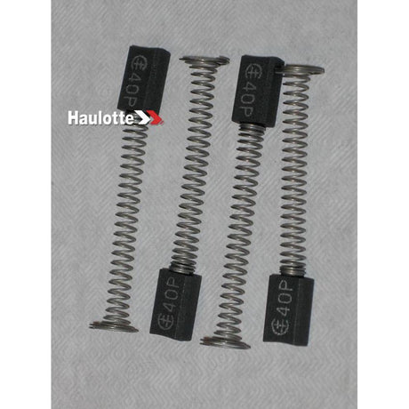 Part Number 2420317430 Pack Of 4 Dynamo Carbons fits Haulotte