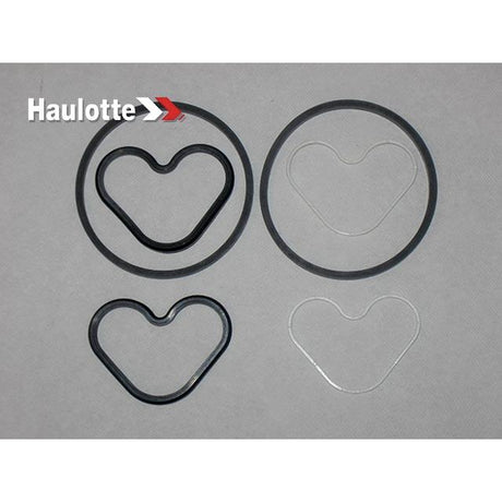 Part Number 2421003390 Set Of Seals For Unit fits Haulotte