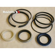 Part Number 2421607710 Pack Of Cylinder Seals fits Haulotte