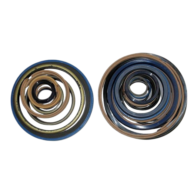 Part Number 2421607850 Pack/Telescope Seals H10M fits Haulotte
