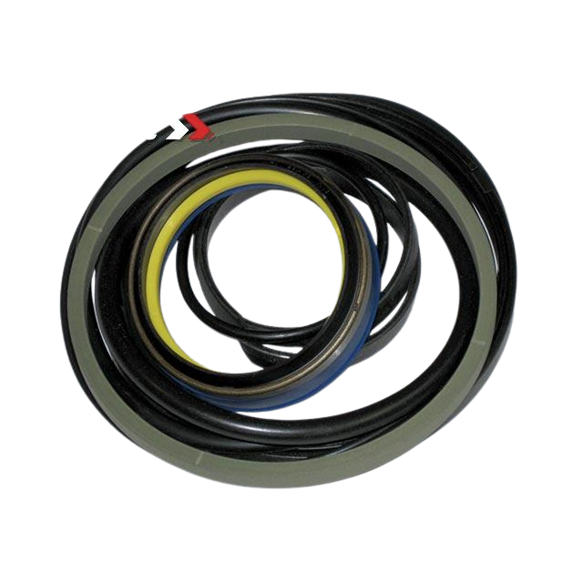 2421691880 Seal Kit | Genuine Haulotte