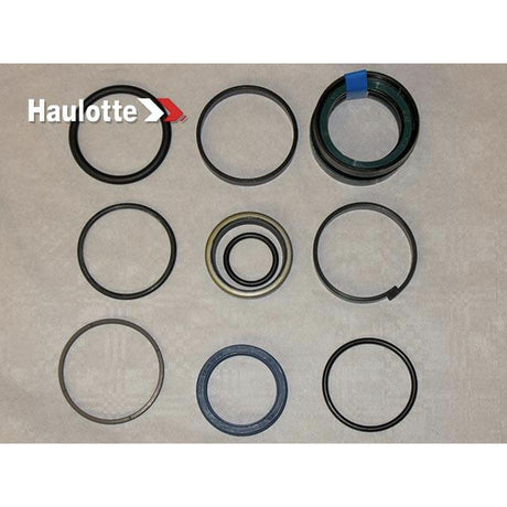 Part Number 2421692250 Pack/Cylinder Seals B14964B fits Haulotte