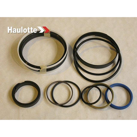 Part Number 2421692300 Pack /Cylinder Seals 68040612 fits Haulotte