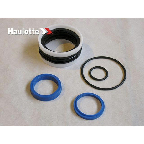Part Number 2421692370 Pack / Seals/Cylinder C 13958 fits Haulotte