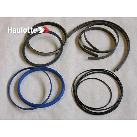 Part Number 2421692390 Pack /Lifting Cylinder Seals fits Haulotte