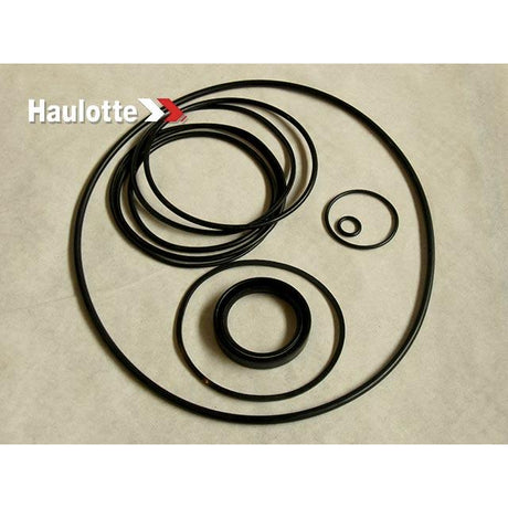 Part Number 2421692460 Pack/Reducer Seals Cwd201 fits Haulotte