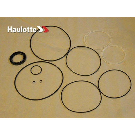 Part Number 2421692470 Pack/Reducer Seals Ctm/20 fits Haulotte