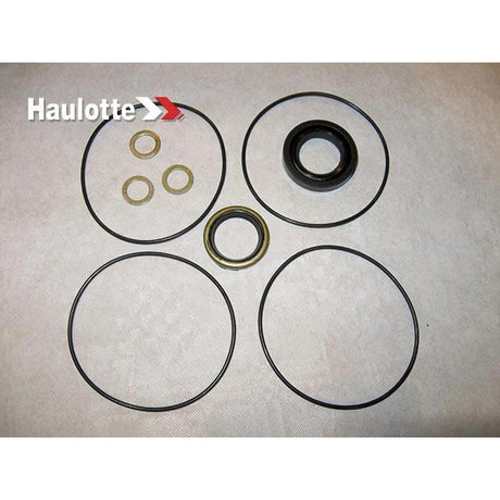 Part Number 2421692900 Pack/Seals/Omm32 Motor fits Haulotte