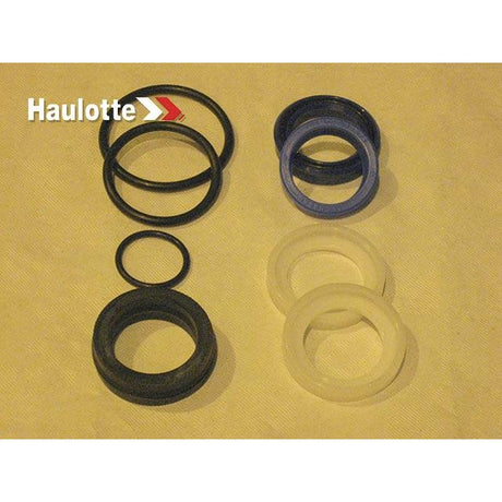 Part Number 2421693050 Pack/Seals For Cylinder C14938 fits Haulotte