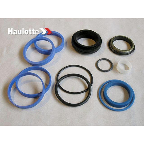 Part Number 2421693190 Pack / Seals For Cylinder 04366 fits Haulotte