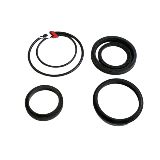 Part Number 2421693230 Pack / Seals For Cylinder fits Haulotte