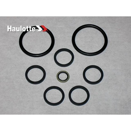 Part Number 2421693560 Pack / Seals fits Haulotte