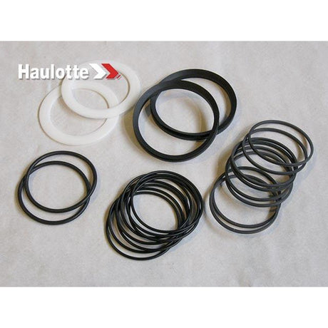 Part Number 2421693810 Pack / Seals For Revolving Joint fits Haulotte