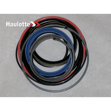 Part Number 2421693820 Pack /Lift Cylinder Seals fits Haulotte