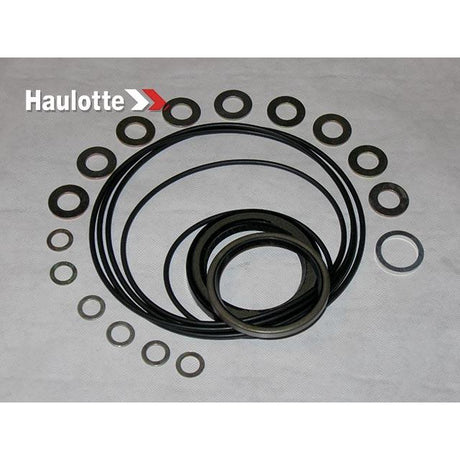 Part Number 2421693910 Pack / Seals For Omraw Motor fits Haulotte