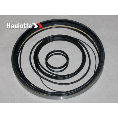 Part Number 2421694010 Pack / Reducer Seals fits Haulotte