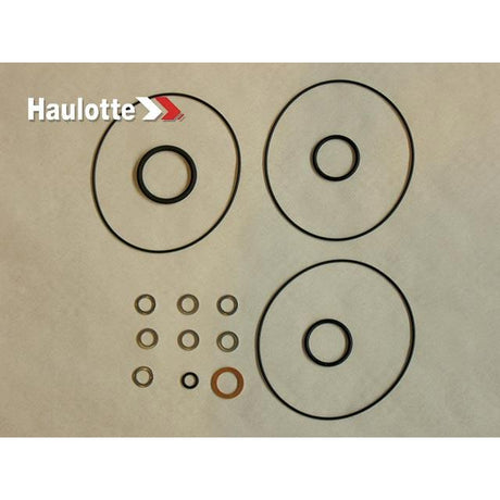 Part Number 2421698980 Seal fits Haulotte