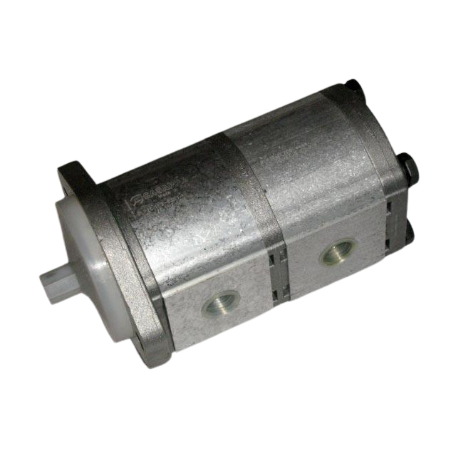 2426206080 Twin Pump | Genuine Haulotte