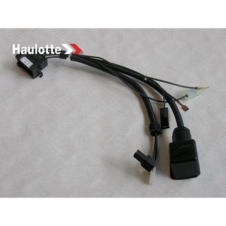 Part Number 2440603920 Engine Cable Bundle F4L fits Haulotte