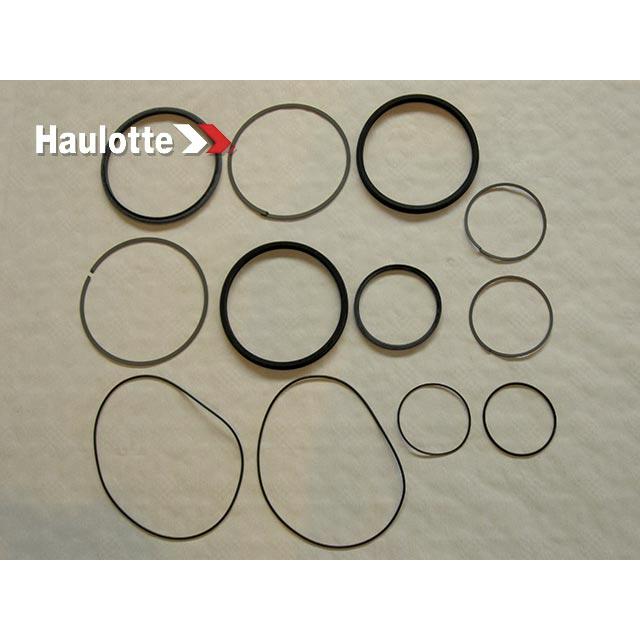 2504000680 Seals Kit | Genuine Haulotte