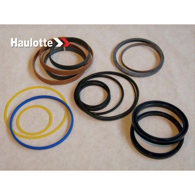 2504001020 Seal Kit | Genuine Haulotte