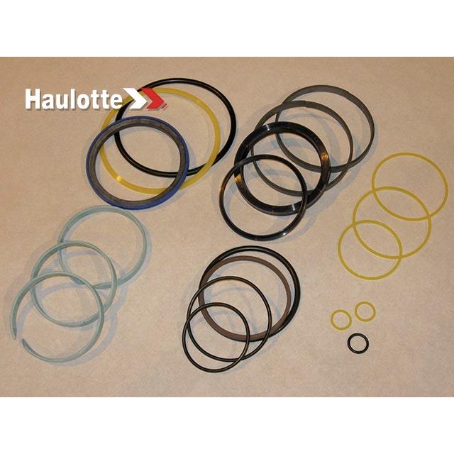 2504001030 Seal Kit | Genuine Haulotte