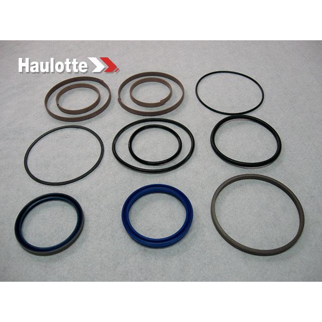 2504001580 Seals Kit | Genuine Haulotte