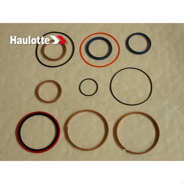 2504001610 Seal Kit 2 | Genuine Haulotte