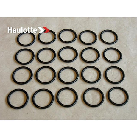 Part Number 2505001230 Seal fits Haulotte
