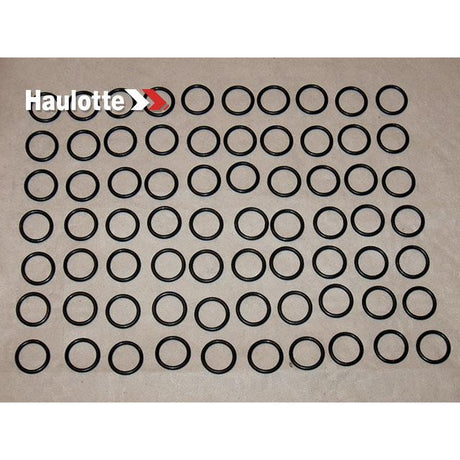 Part Number 2505001300 Seal fits Haulotte