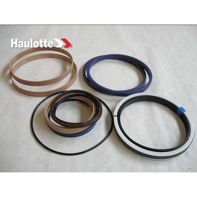 2505002810 Seal Kit | Genuine Haulotte